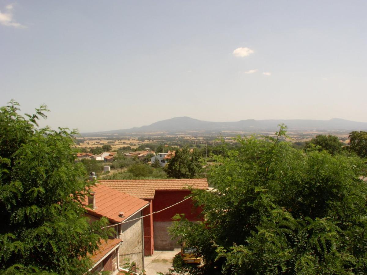 I Tulipani Olandesi Bed and Breakfast Zepponami Eksteriør billede