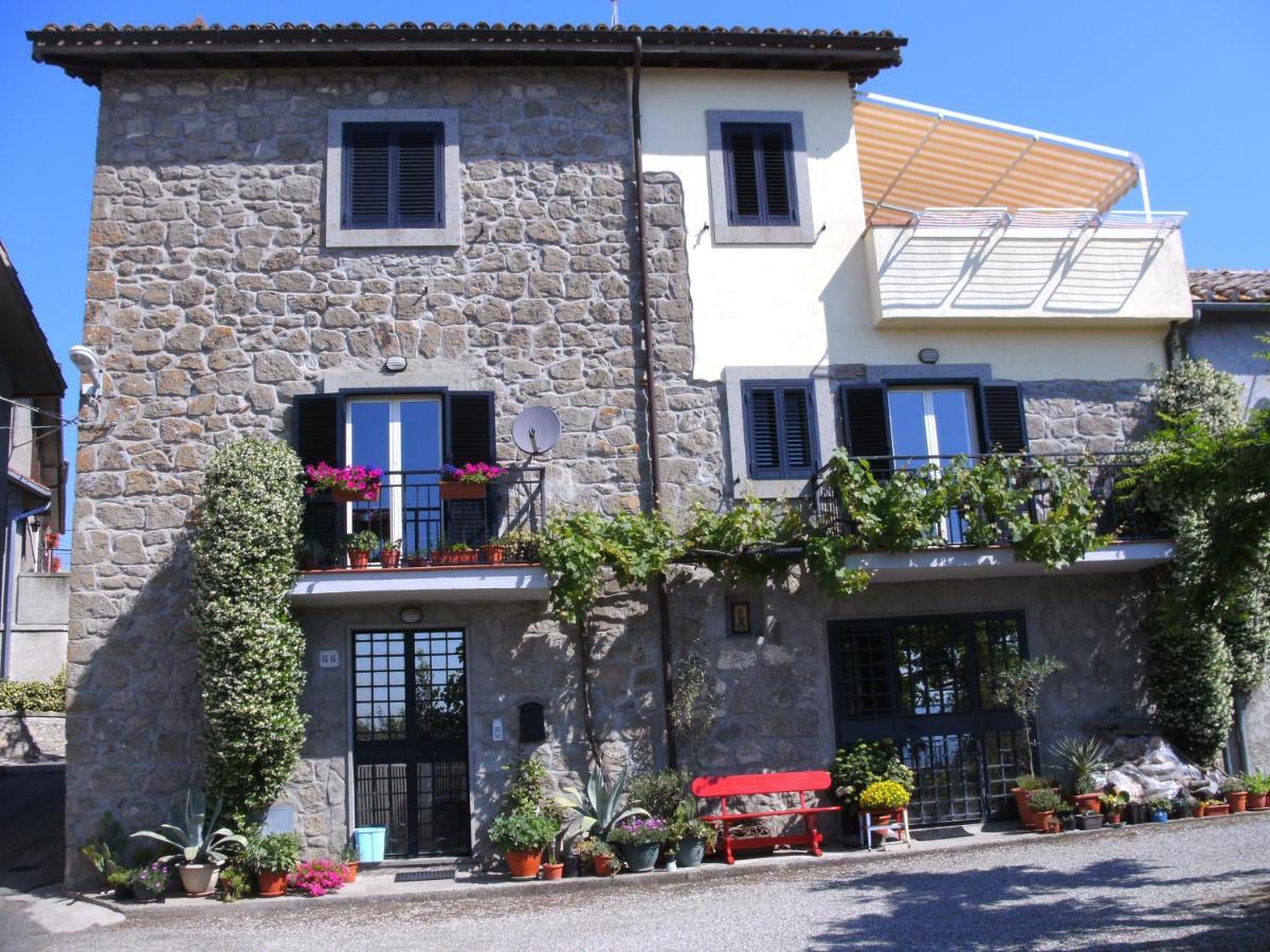 I Tulipani Olandesi Bed and Breakfast Zepponami Eksteriør billede